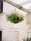 117 Bunches UV Resistant Fake Plants Outdoor – Artificial Greenery Bushes, Faux Eucalyptus Shrubs for Garden, Patio, Front Porch, Yard & Home Decor